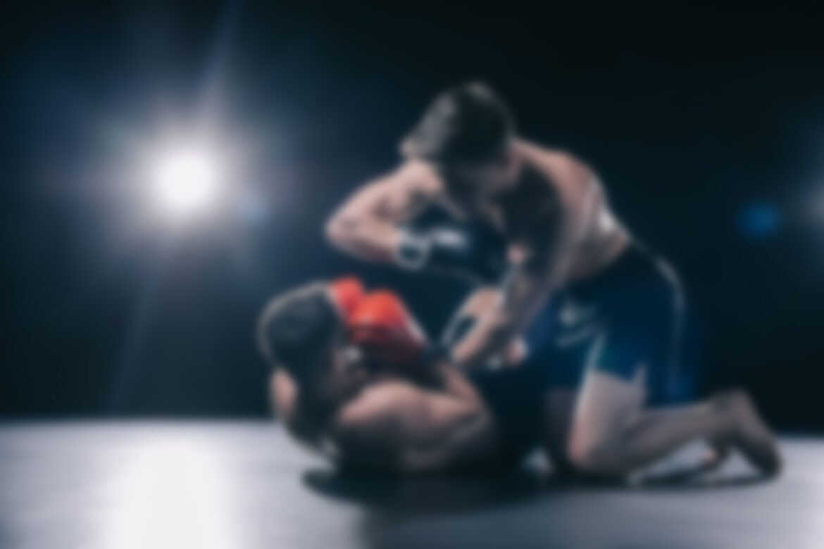 Difference Between UFC and MMA